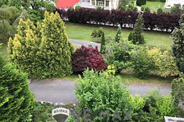 Einfamilienhaus kaufen in 2632 Grafenbach (Bild 3)