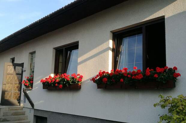 Haus mit Garten kaufen in 2620 Neunkirchen (Bild 4)