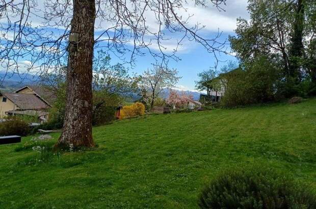 Grundstück kaufen in 4902 Wolfsegg (Bild 5)