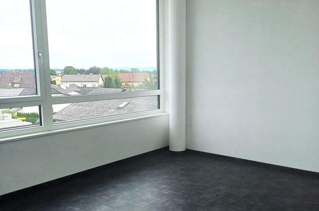 Gewerbeobjekt mieten in 4061 Pasching (Bild 3)