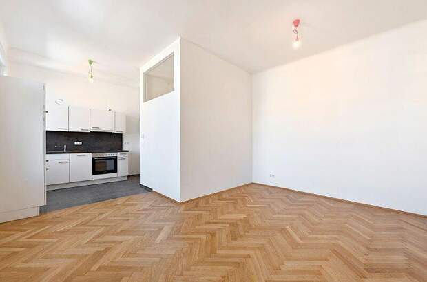 Terrassenwohnung kaufen in 1050 Wien (Bild 3)