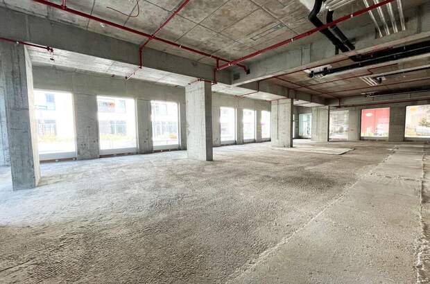 Gewerbeobjekt in 1020 Wien (Bild 1)