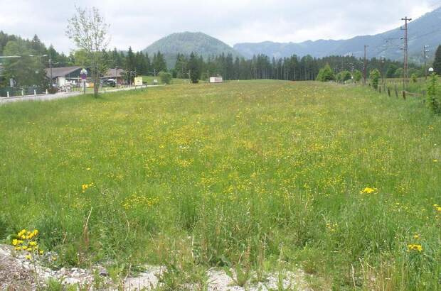 Gewerbeobjekt mieten in 8630 Mariazell (Bild 1)