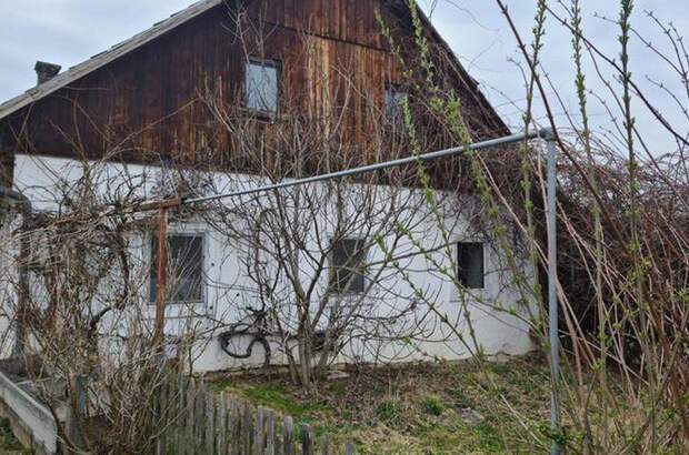 Haus kaufen in 3034 Maria (Bild 3)