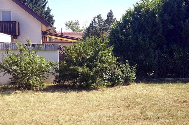 Grundstück kaufen in 2230 Gänserndorf (Bild 5)