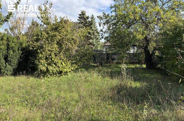 Haus kaufen in 2201 Gerasdorf (Bild 4)