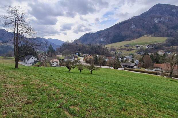 Grundstück kaufen in 4460 Losenstein (Bild 1)