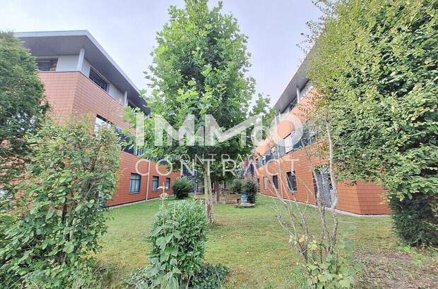 Gewerbeobjekt kaufen in 5280 St. Peter (Bild 5)