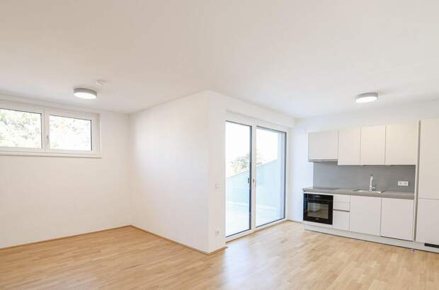 Wohnung mieten in 1190 Wien (Bild 1)