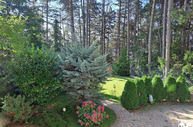 Haus kaufen in 2733 Oberhöflein (Bild 2)