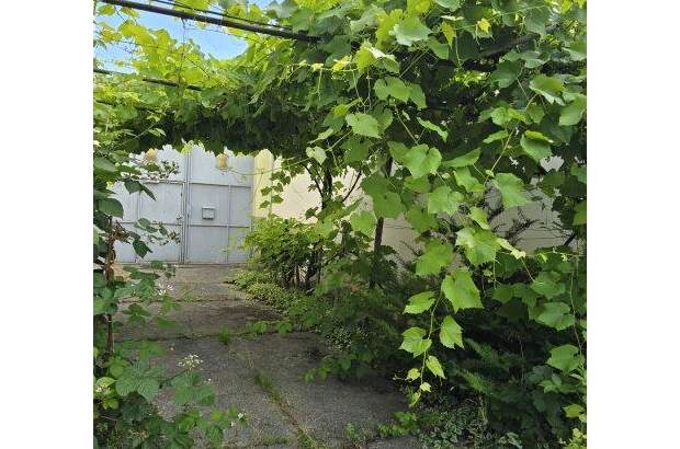 Haus kaufen in 7072 Mörbisch (Bild 2)