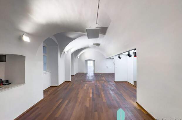 Gewerbeobjekt mieten in 1010 Wien (Bild 5)