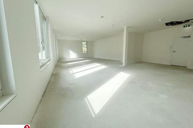 Gewerbeobjekt mieten in 2340 Mödling (Bild 3)