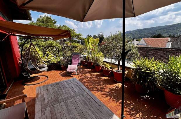 Terrassenwohnung kaufen in 3423 St. Andrä (Bild 1)