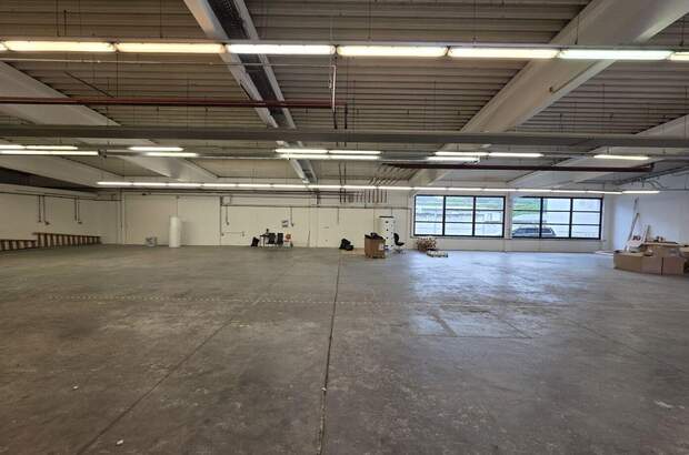 Gewerbeobjekt mieten in 2753 Markt Piesting (Bild 4)