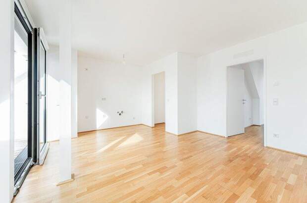 Terrassenwohnung mieten in 1060 Wien (Bild 4)