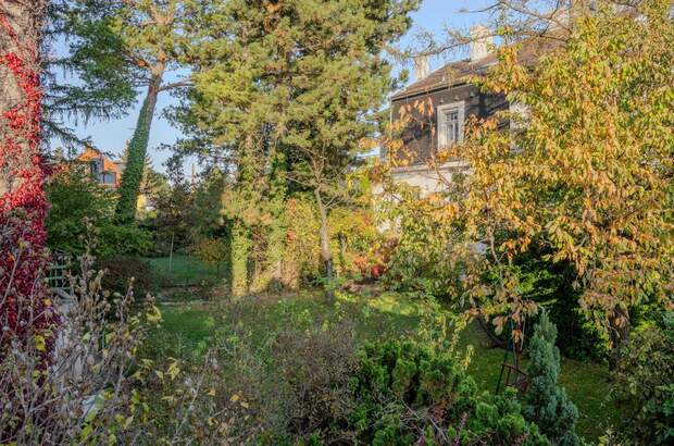 Mehrfamilienhaus kaufen in 1230 Wien (Bild 5)