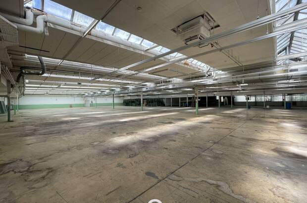 Gewerbeobjekt mieten in 4881 Straß (Bild 5)