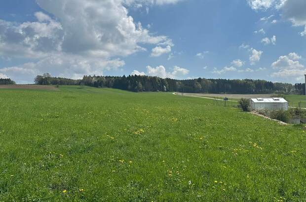 Grundstück kaufen in 5143 Feldkirchen (Bild 2)