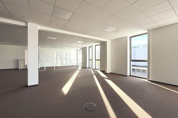 Gewerbeobjekt mieten in 6922 Wolfurt (Bild 5)