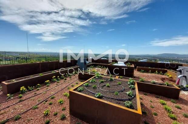 Eigentumswohnung in 1100 Wien