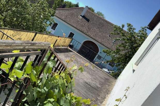 Einfamilienhaus kaufen in 3481 Fels (Bild 4)