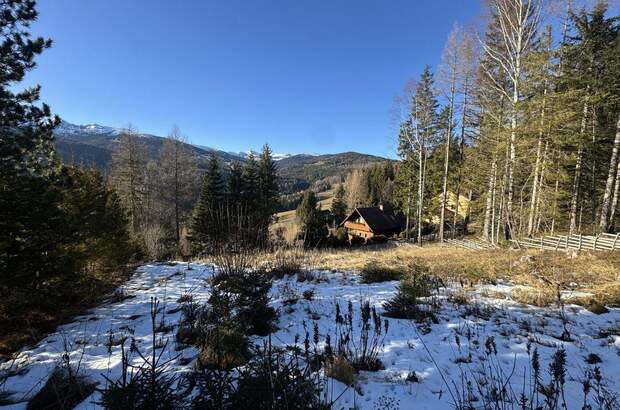 Grundstück kaufen in 8742 Mönchegg (Bild 2)