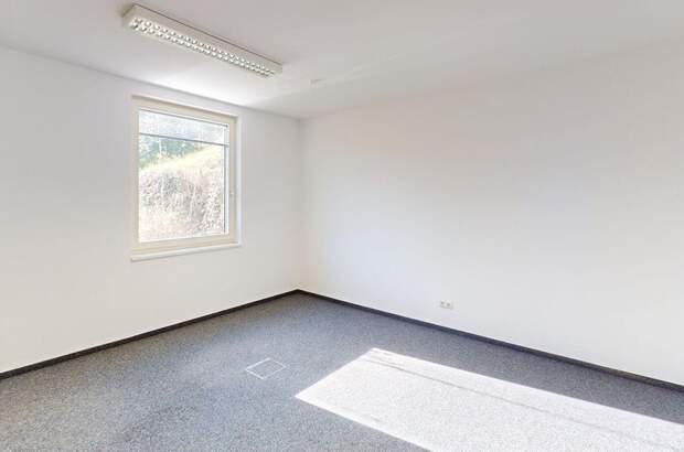 Gewerbeobjekt mieten in 8054 Graz (Bild 5)