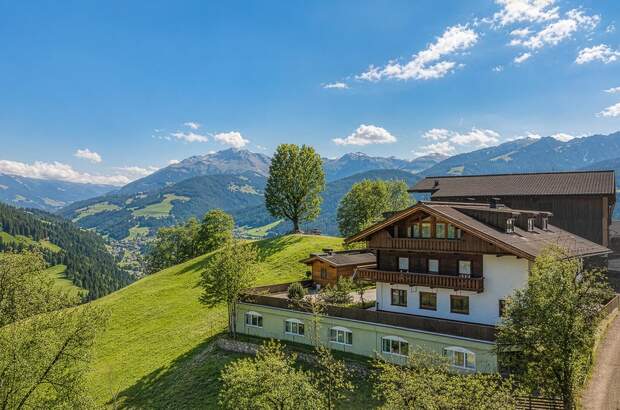 Einfamilienhaus kaufen in 6311 Oberau (Bild 1)