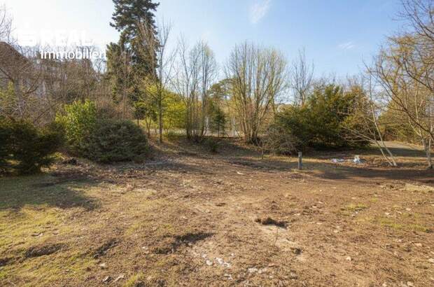 Grundstück kaufen in 2371 Hinterbrühl (Bild 4)