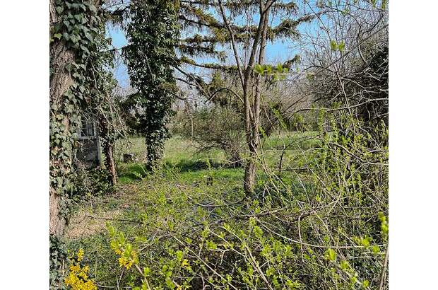 Grundstück kaufen in 2201 Gerasdorf (Bild 5)