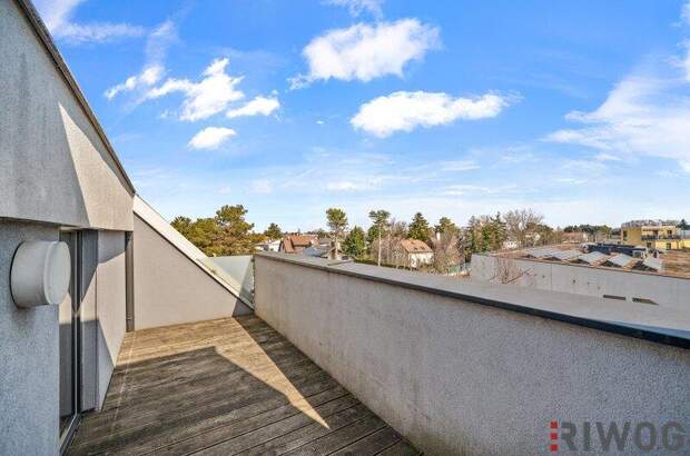 Terrassenwohnung kaufen in 1220 Wien (Bild 4)