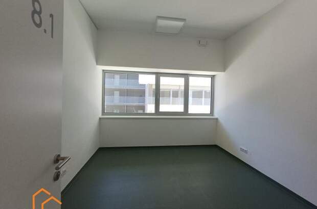 Gewerbeobjekt mieten in 1220 Wien 22. (Bild 2)