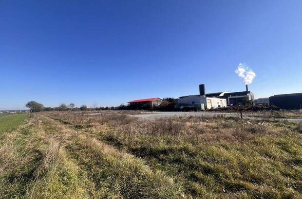 Gewerbeobjekt kaufen in 8430 Kaindorf (Bild 3)