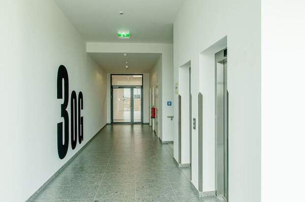 Gewerbeobjekt mieten in 8430 Leibnitz (Bild 3)