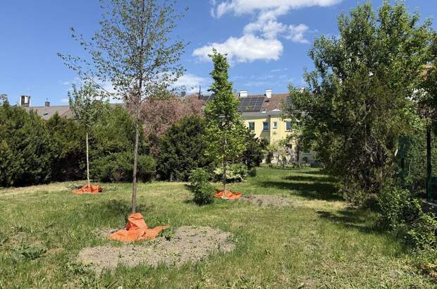 Haus mit Garten kaufen in 1230 Wien (Bild 4)