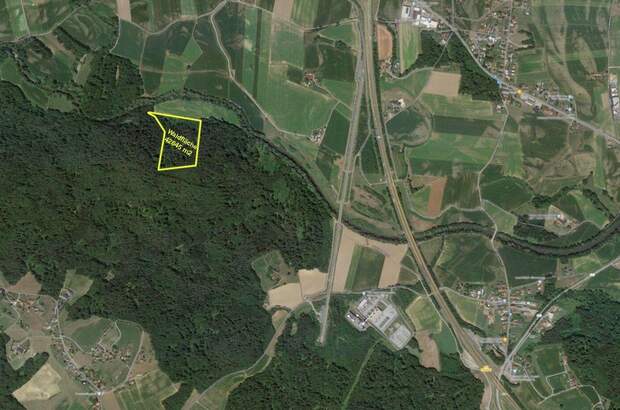 Grundstück kaufen in 8410 Weitendorf (Bild 2)