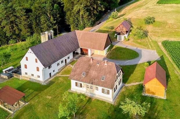 Haus mit Garten kaufen in 8444 Sausal (Bild 3)