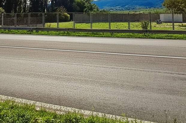 Gewerbeobjekt kaufen in 2353 Guntramsdorf (Bild 5)