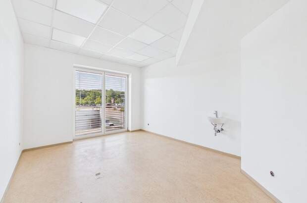 Gewerbeobjekt mieten in 4221 Steyregg (Bild 5)