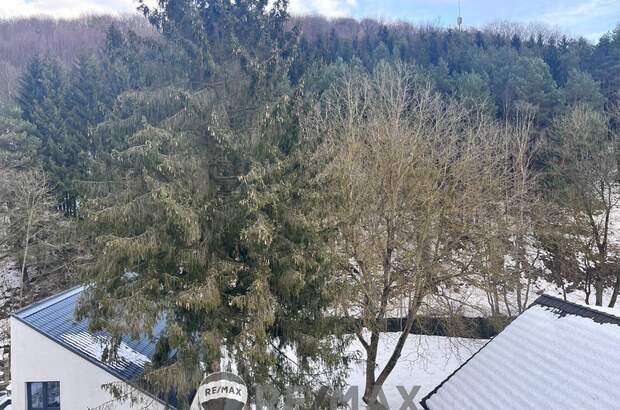 Wohnung kaufen in 3021 Pressbaum (Bild 4)