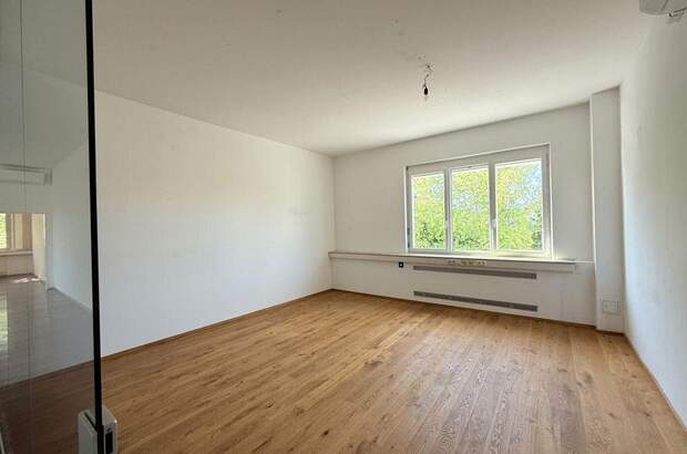 Gewerbeobjekt mieten in 2345 Brunn (Bild 3)