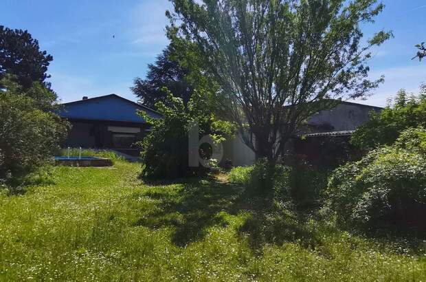 Einfamilienhaus kaufen in 2442 Unterwaltersdorf (Bild 5)