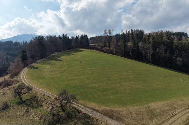 Gewerbeobjekt kaufen in 8184 Anger (Bild 2)