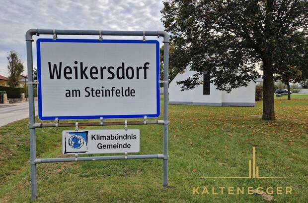 Grundstück kaufen in 2722 Weikersdorf (Bild 1)