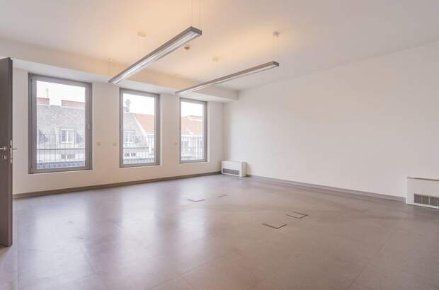 Gewerbeobjekt mieten in 1100 Wien (Bild 2)
