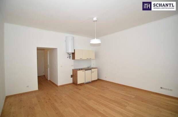 Wohnung kaufen in 1100 Wien (Bild 2)