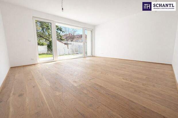 Terrassenwohnung kaufen in 2514 Traiskirchen (Bild 1)