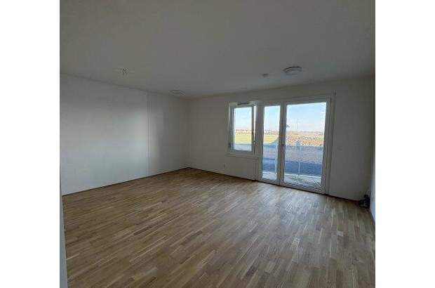 Terrassenwohnung mieten in 1220 Wien (Bild 3)