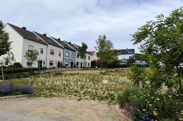 Grundstück kaufen in 7000 Eisenstadt (Bild 1)